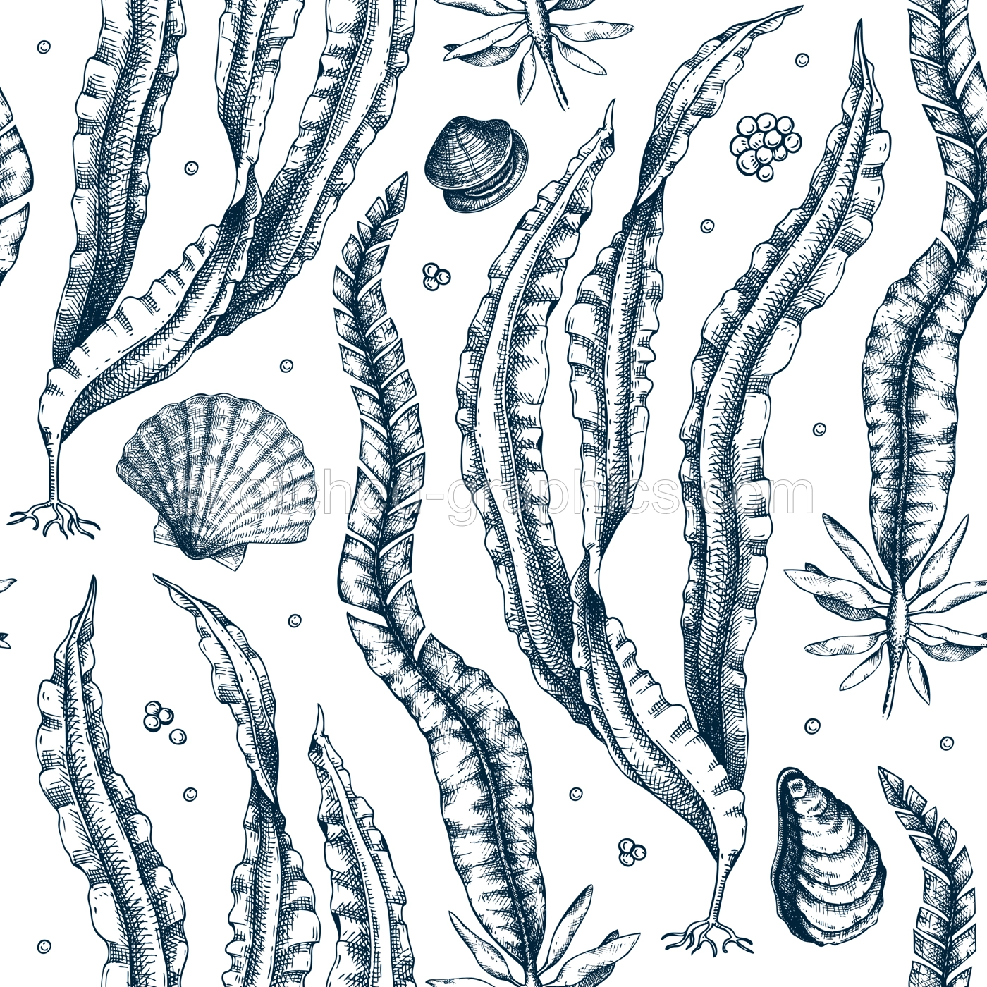 Hand-drawn Kombu background. Laminaria botanical illustration in sketch style. Edible seaweed seamless pattern. Sea life drawings. For menu design, textile, wrapping paper, print Illustration